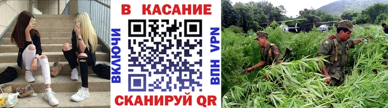 Где купить наркотики Лермонтов Бошки Шишки ссылка на мегу сайт ГАШ Меф