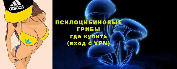 соль курить ск Алексеевка